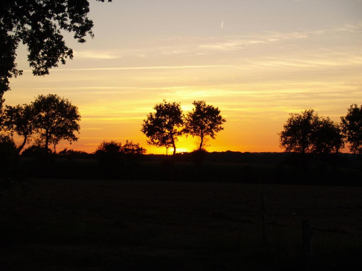 Camping Chez L'Habitant Noyal-Muzillac 外观 照片